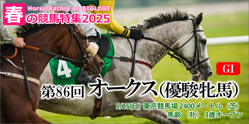 秋の競馬特集2020